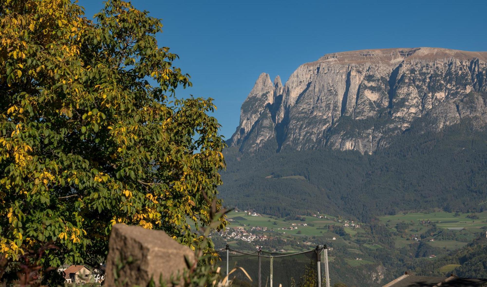 Апартаменты Gestuet Feuerstein- Lanznasterhof Prato all'Isarco Экстерьер фото